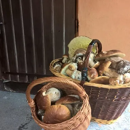 Πανσιόν Jizerka 3*