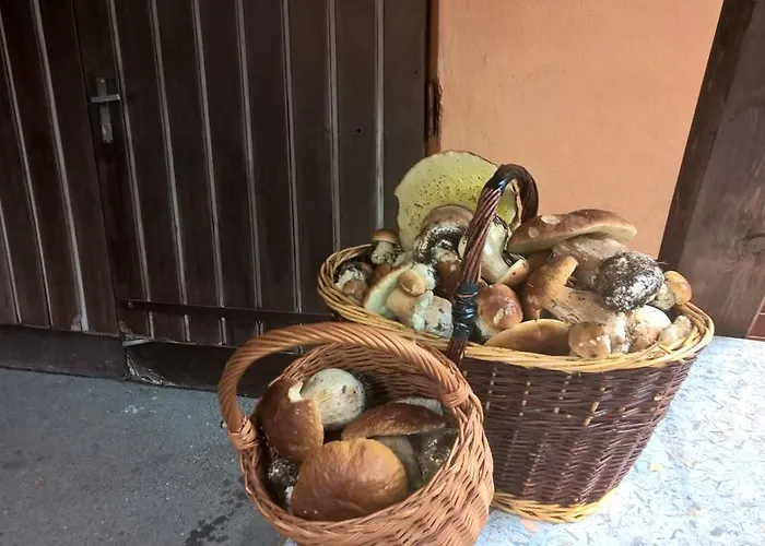 Pensionat Jizerka 3*